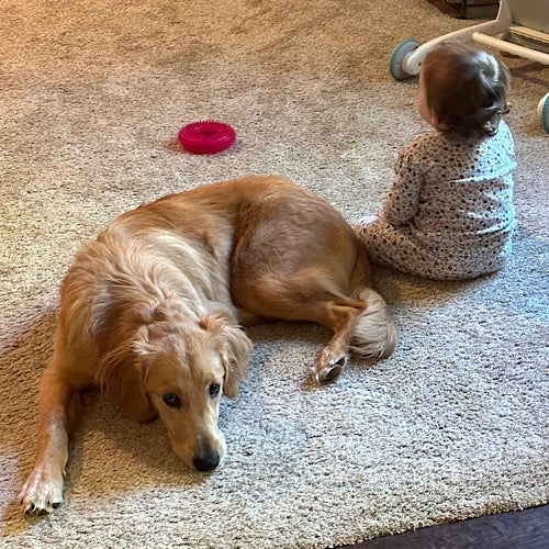 Baby And Puppy Best Friends Puppies Babies Friends Adorable