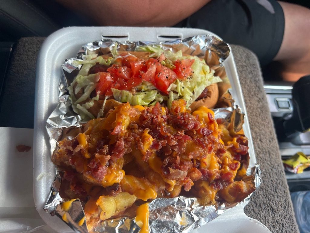 Loaded hot dog and fries